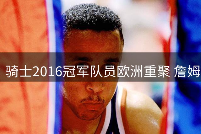 骑士2016冠军队员欧洲重聚 詹姆斯感慨万千